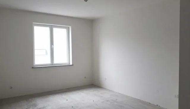 区域企业名录查询系统的性能优化与适用场景分析